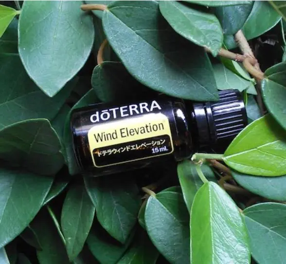 2026年最新】ドテラ ウィンドエレベーションの人気アイテム - メルカリ