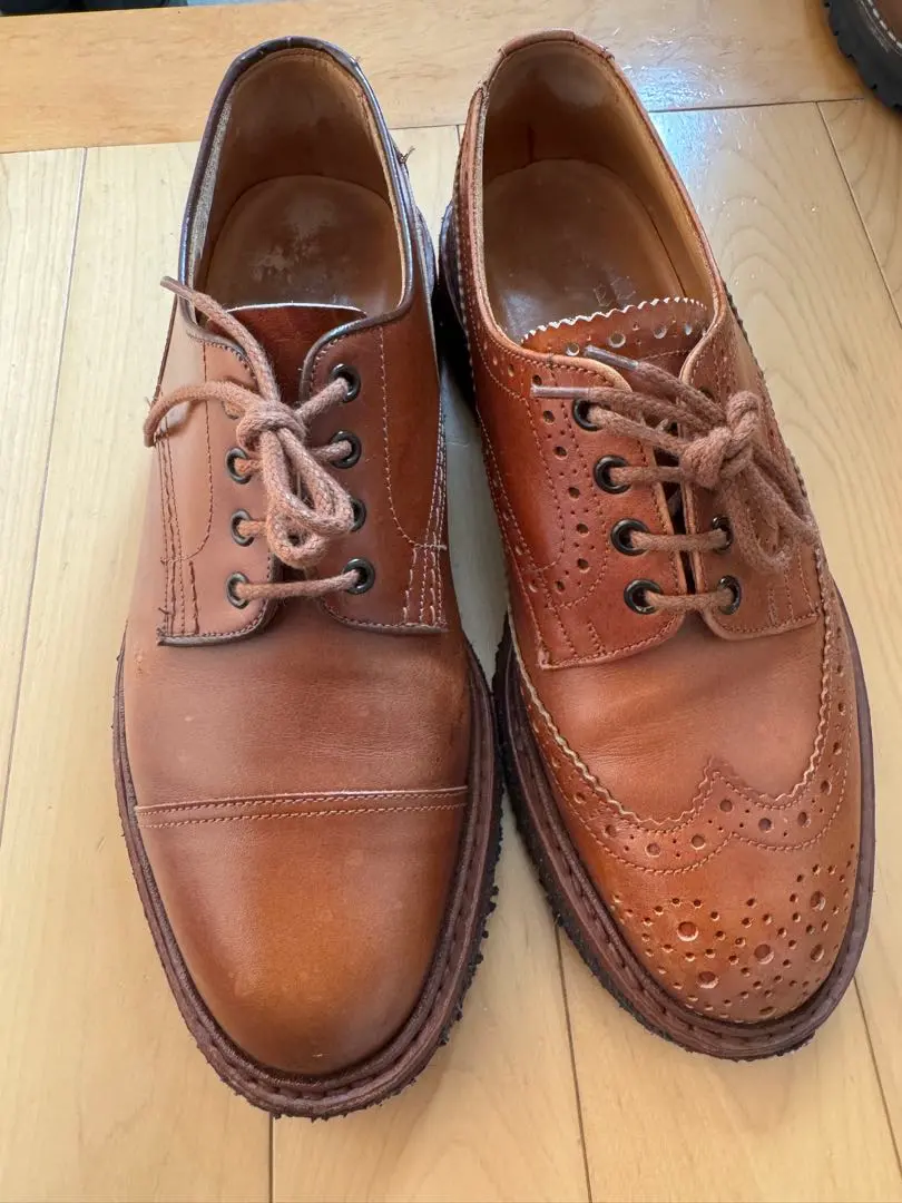 2026年最新】ネペンテス トリッカーズの人気アイテム - メルカリ