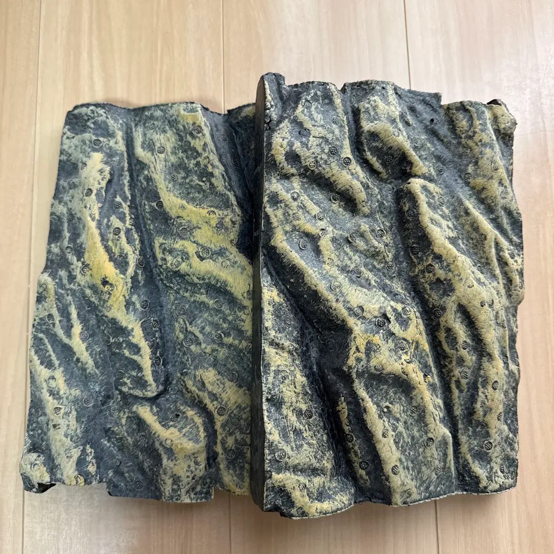 2026年最新】バックボード 爬虫類の人気アイテム - メルカリ