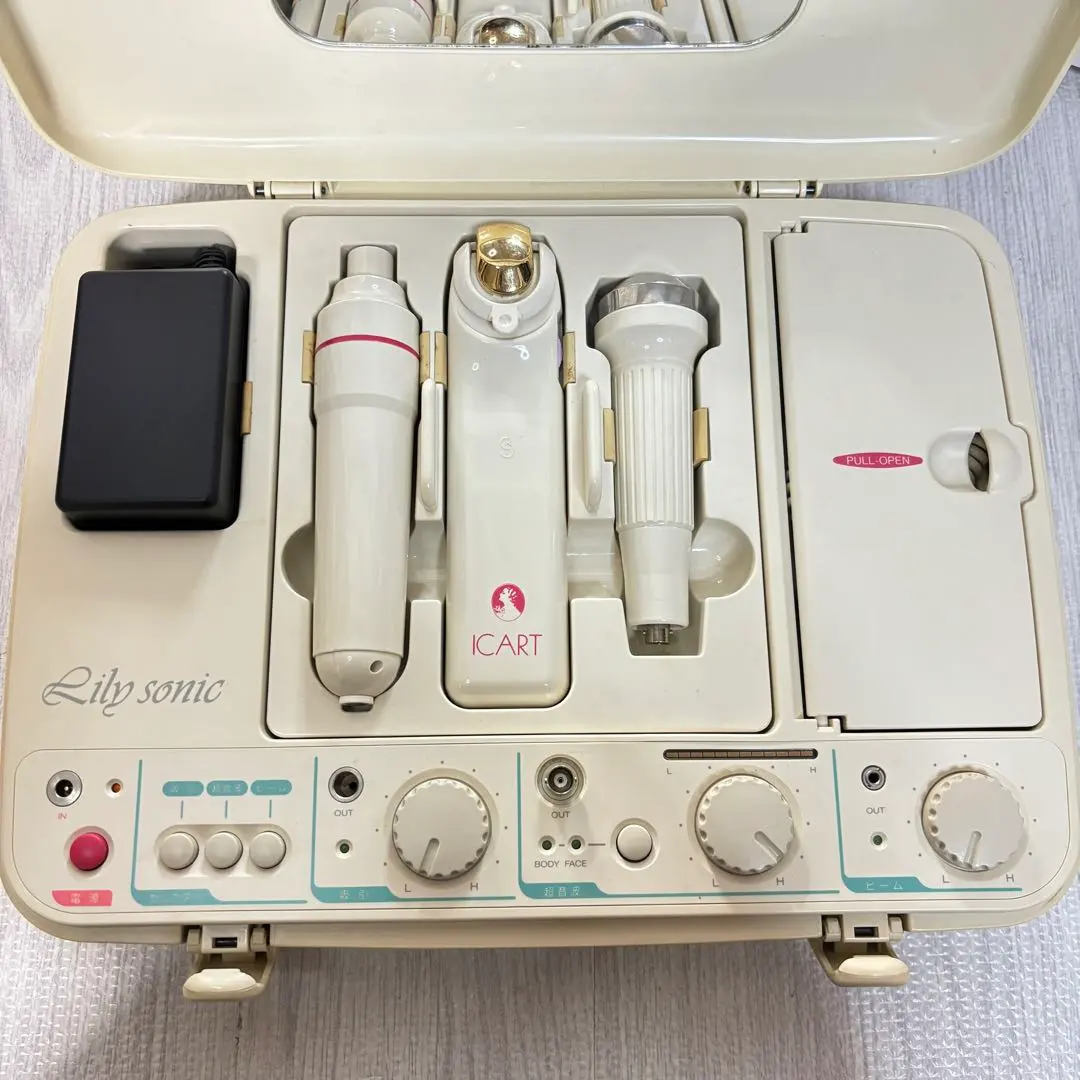 2026年最新】リリーソニックの人気アイテム - メルカリ