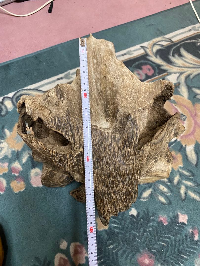 ベトナム産天然香木 希少大型良香沈香約2.9キロg