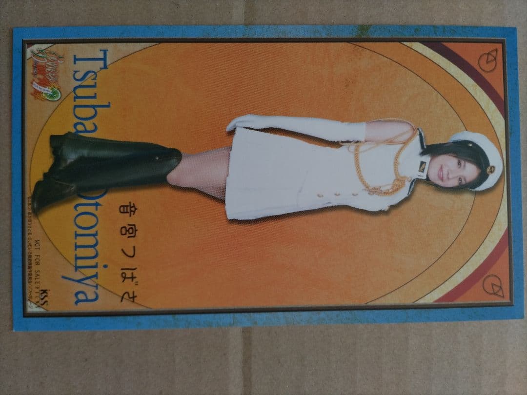 らいむいろ戦奇譚 ディレクターズカット完全版 DVD 3巻 - メルカリ