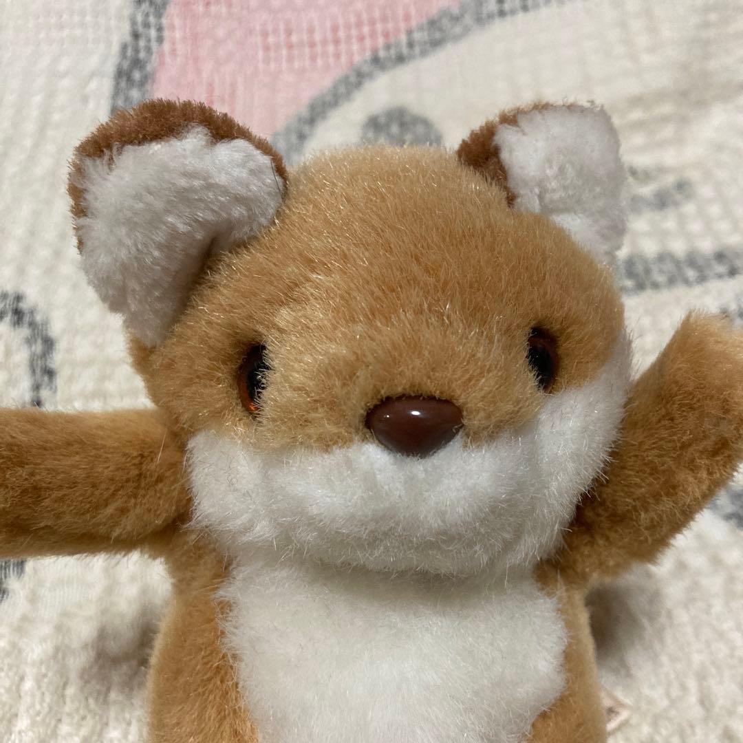 ぬいぐるみの三英 キタキツネ きつね ぬいぐるみ 2コセット 中古品