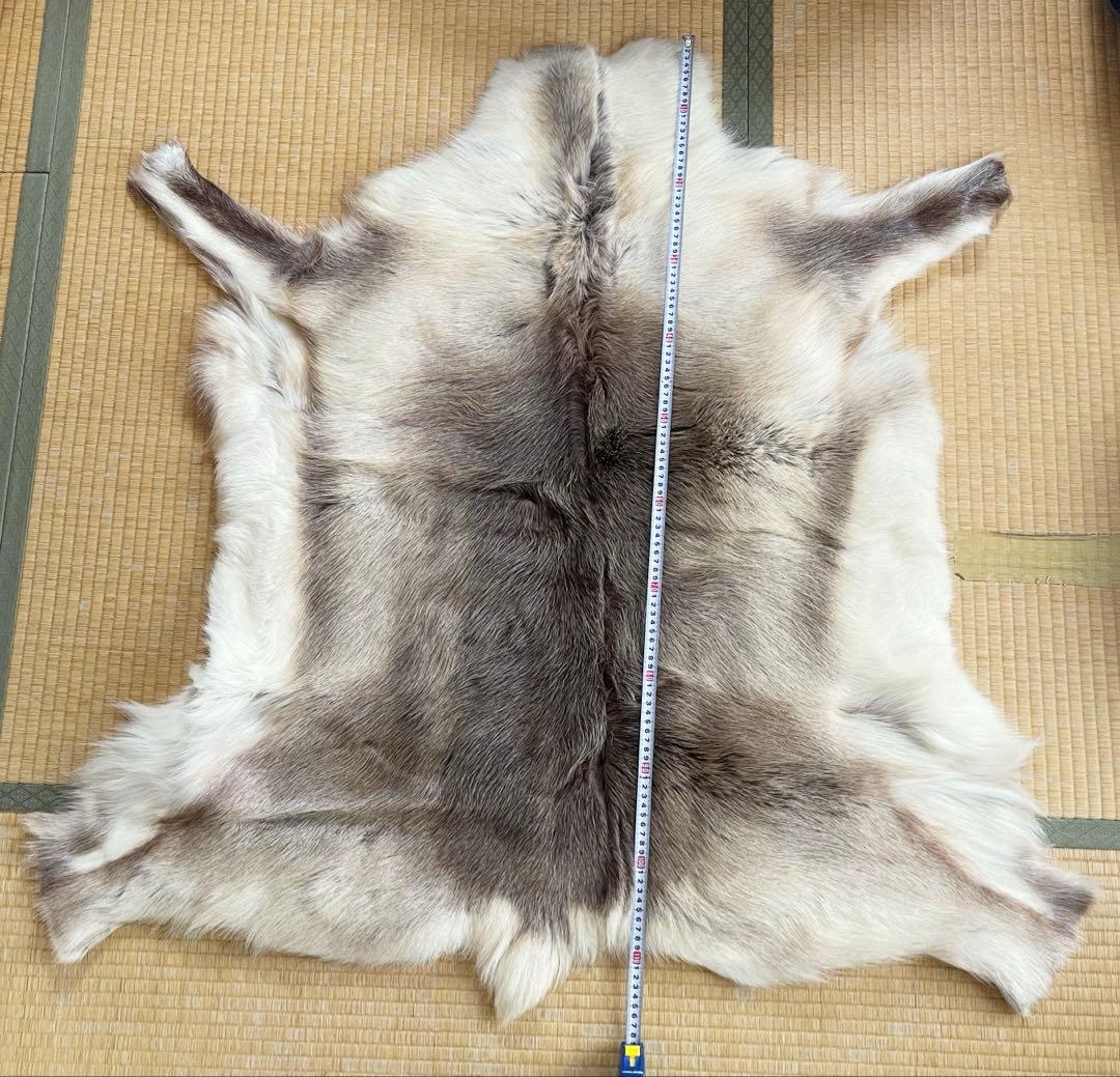 トナカイ　毛皮　敷物　ラグ 楽天市場】トナカイ毛皮 マット ラグ 敷物 天然 スウェーデン直輸入