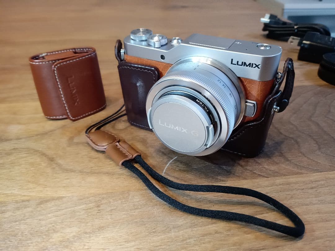 センサー清掃+特典付き】LUMIX DC-GF9 レンズKIT【保証付き】