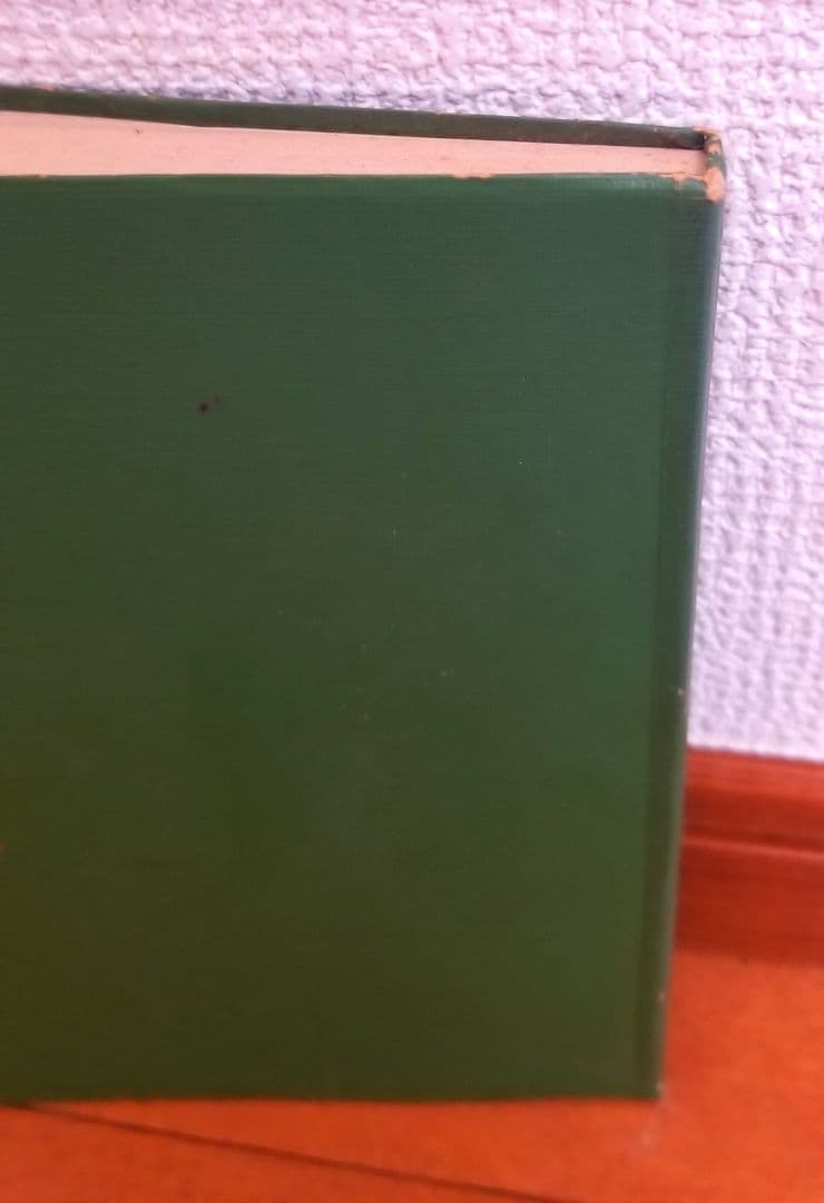 【稀少✨】全一真光隊教本