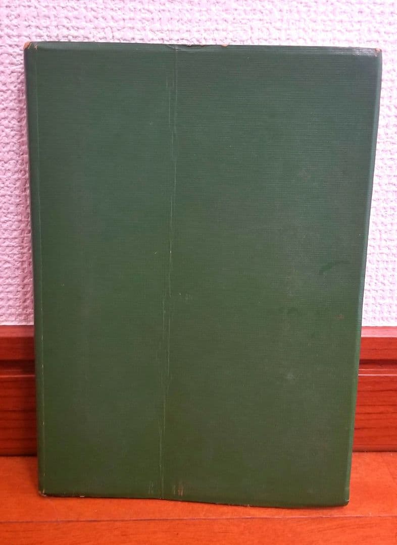 【稀少✨】全一真光隊教本