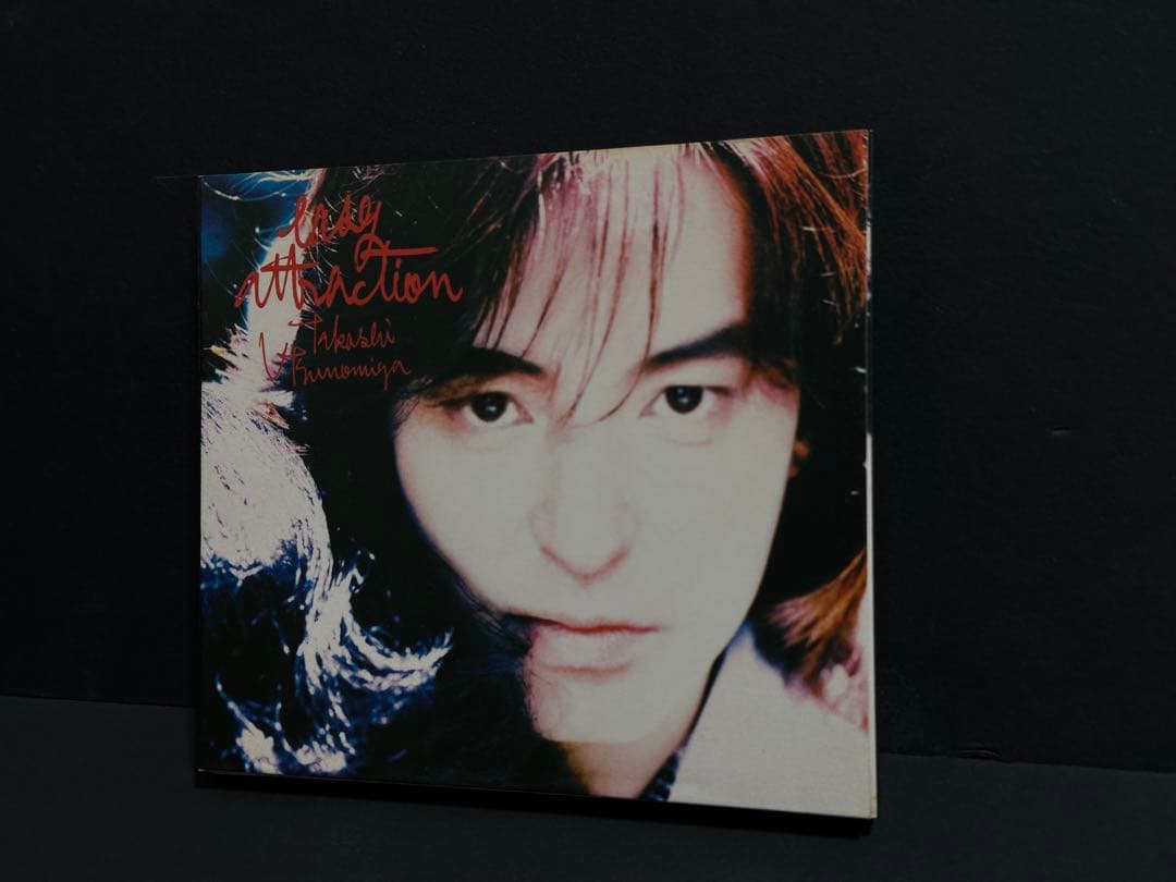 宇都宮隆/イージーアトラクション（easy attraction） - メルカリ