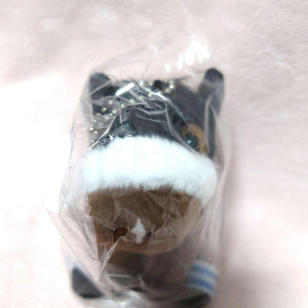 非売品　アーモンドアイ　アイドルホース　美浦TC 調教見学