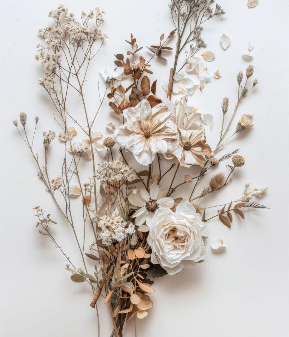 トップス sy. CLASSY掲載》サイドドロストシアートップス【洗濯機洗い可