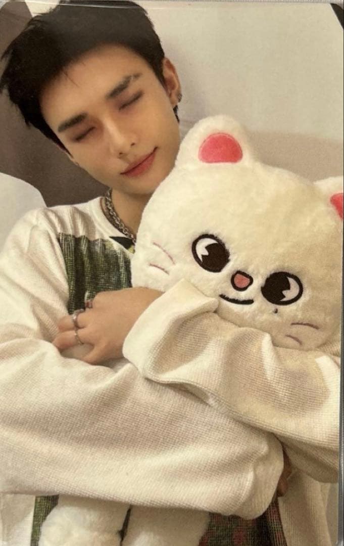 straykids SKZOO PHOTOCARD TINCASE ヒョンジン - メルカリ