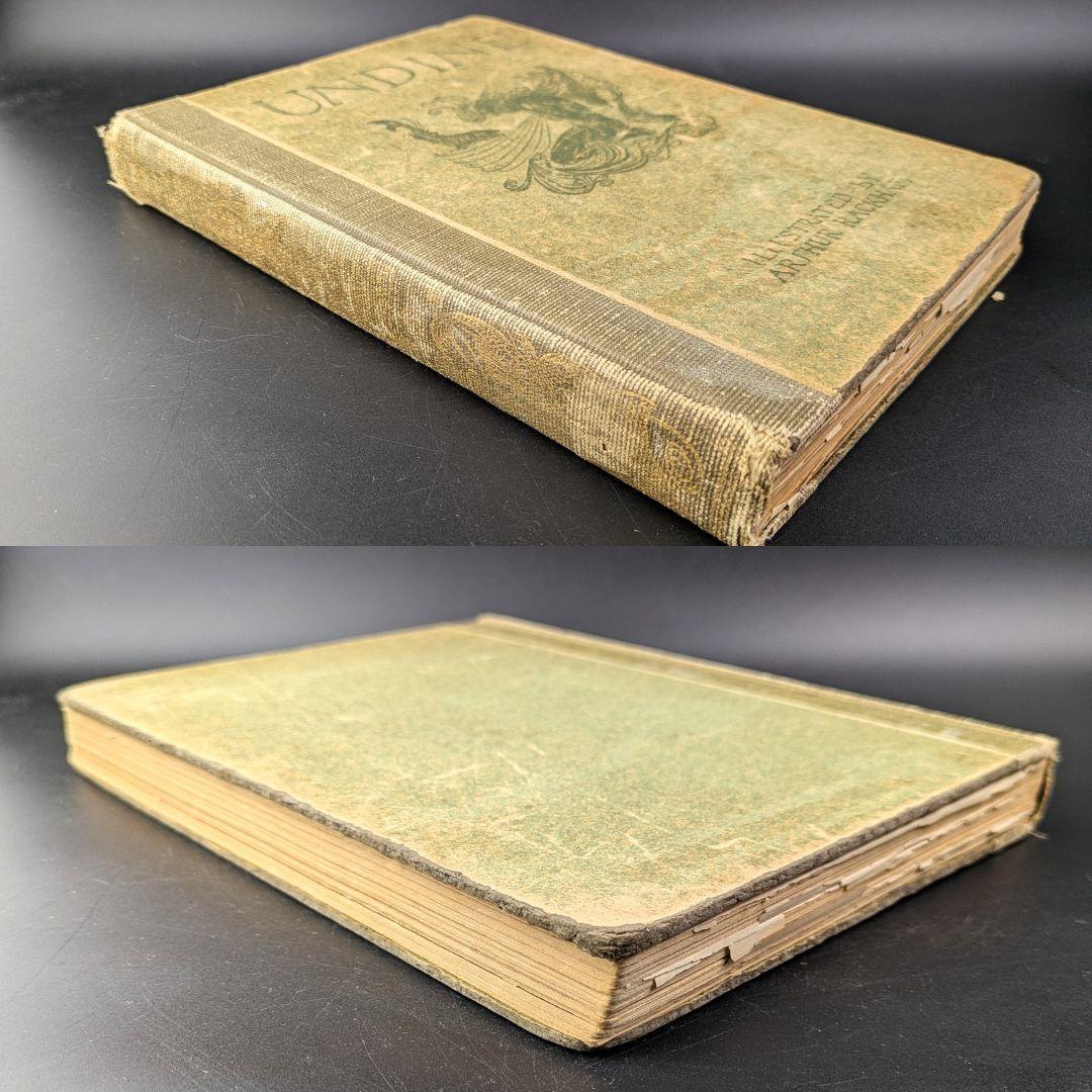 希少な初版 アーサー・ラッカム挿画本『ウンディーネ』1909年 全図15枚