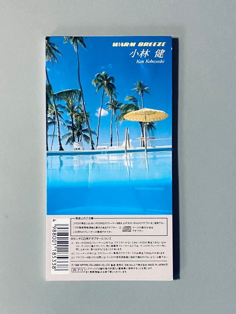 激レア　小林健 WARM BREEZE 8cm 希少88年