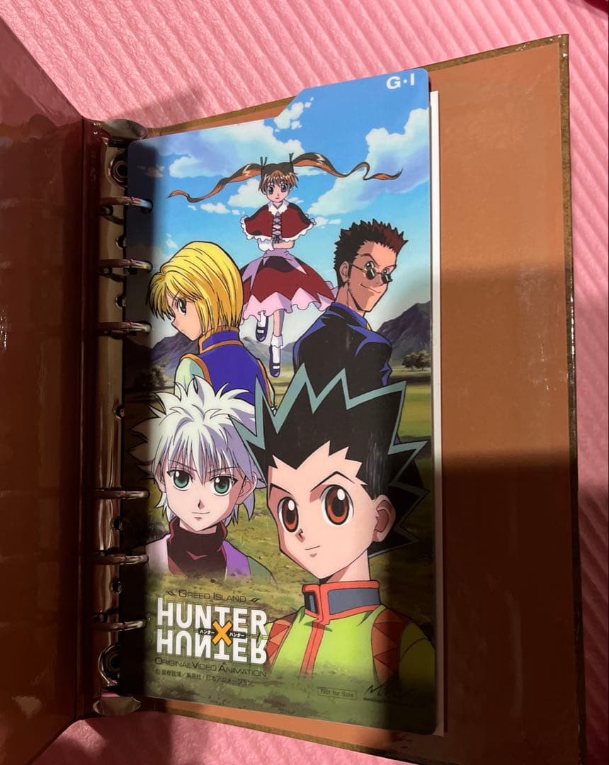 HUNTER×HUNTER OVA G.I編 初回盤 DVDセット 特典付き - メルカリ