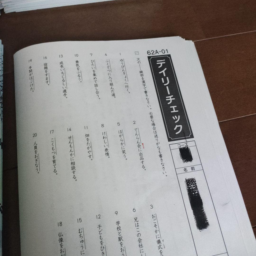 SAPIX 小学6年 国語 デイリー&春期&GS＆夏期セット 2023年度版 - メルカリ