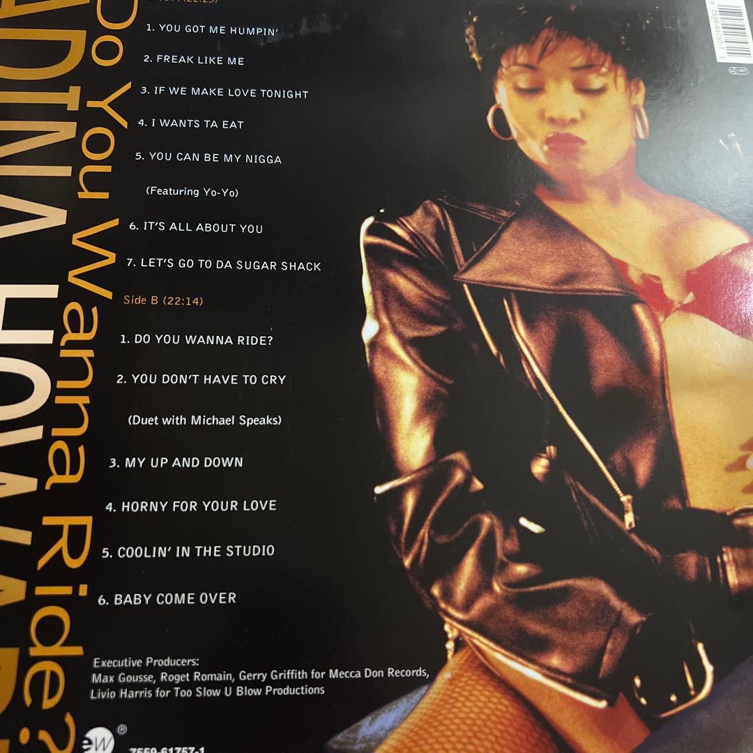 Adina Howard LP Do You Wanna Ride ? ドイツ盤 - 洋楽お 手頃 価格