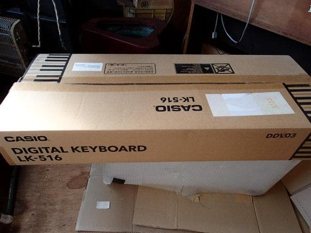 CASIO デジタルキーボード LK-516 CASIO (カシオ) 光ナビゲーションキーボード LK-516 2021年製