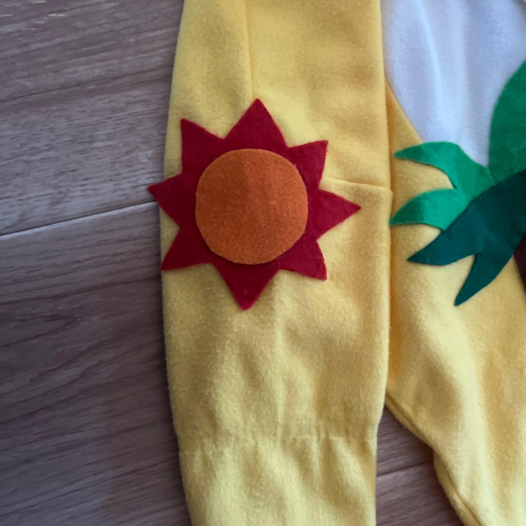 パニパニパイナ 衣装