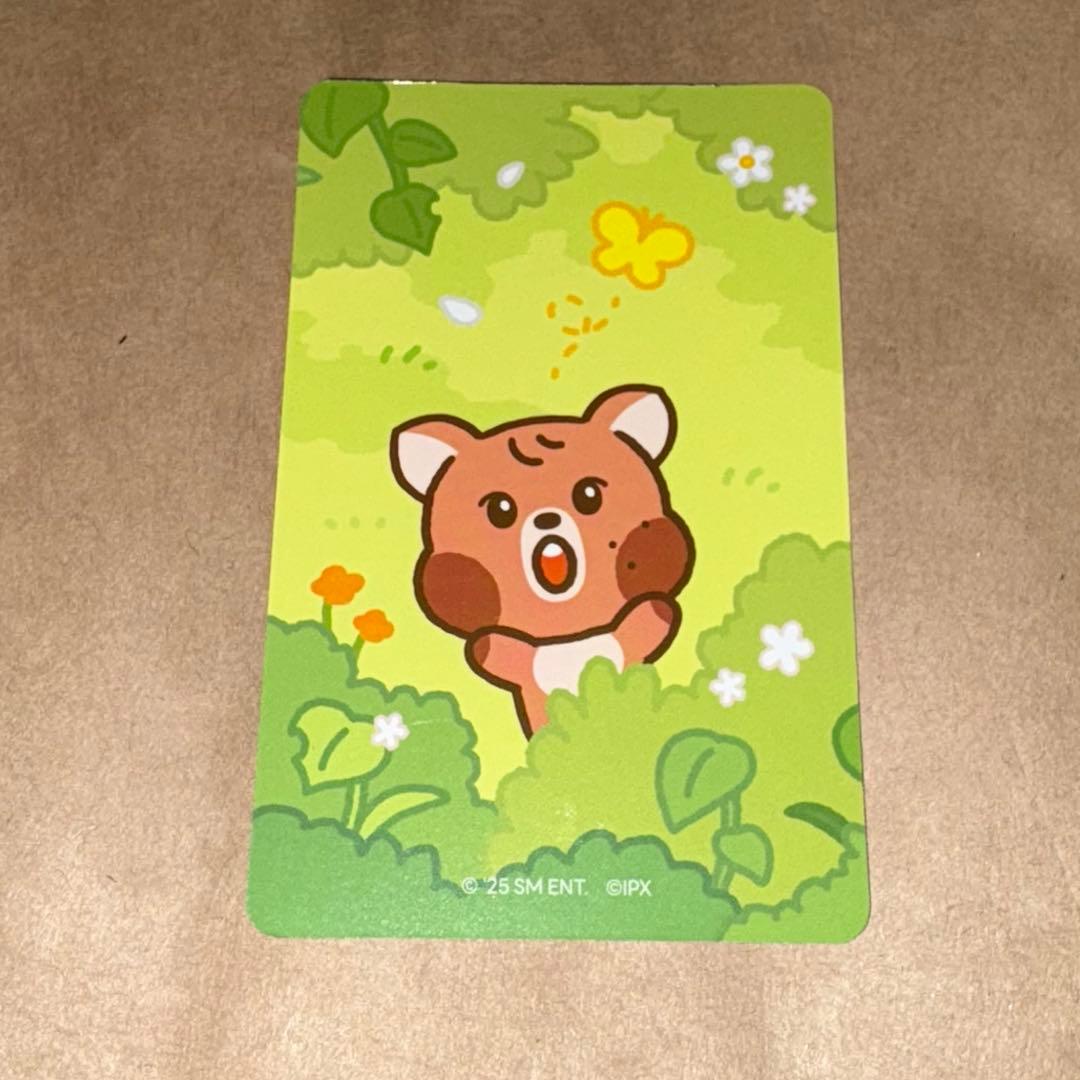 NCTDREAM LINE FRIENDS dreameiz ヘチャン トレカ - メルカリ