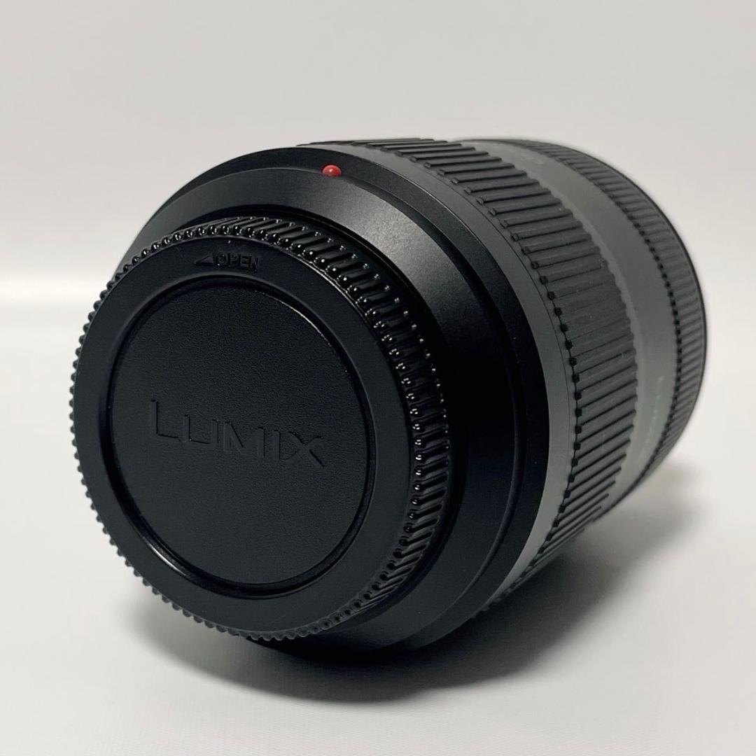 Panasonic LUMIX 45-200mm F4.0-5.6 II レンズ