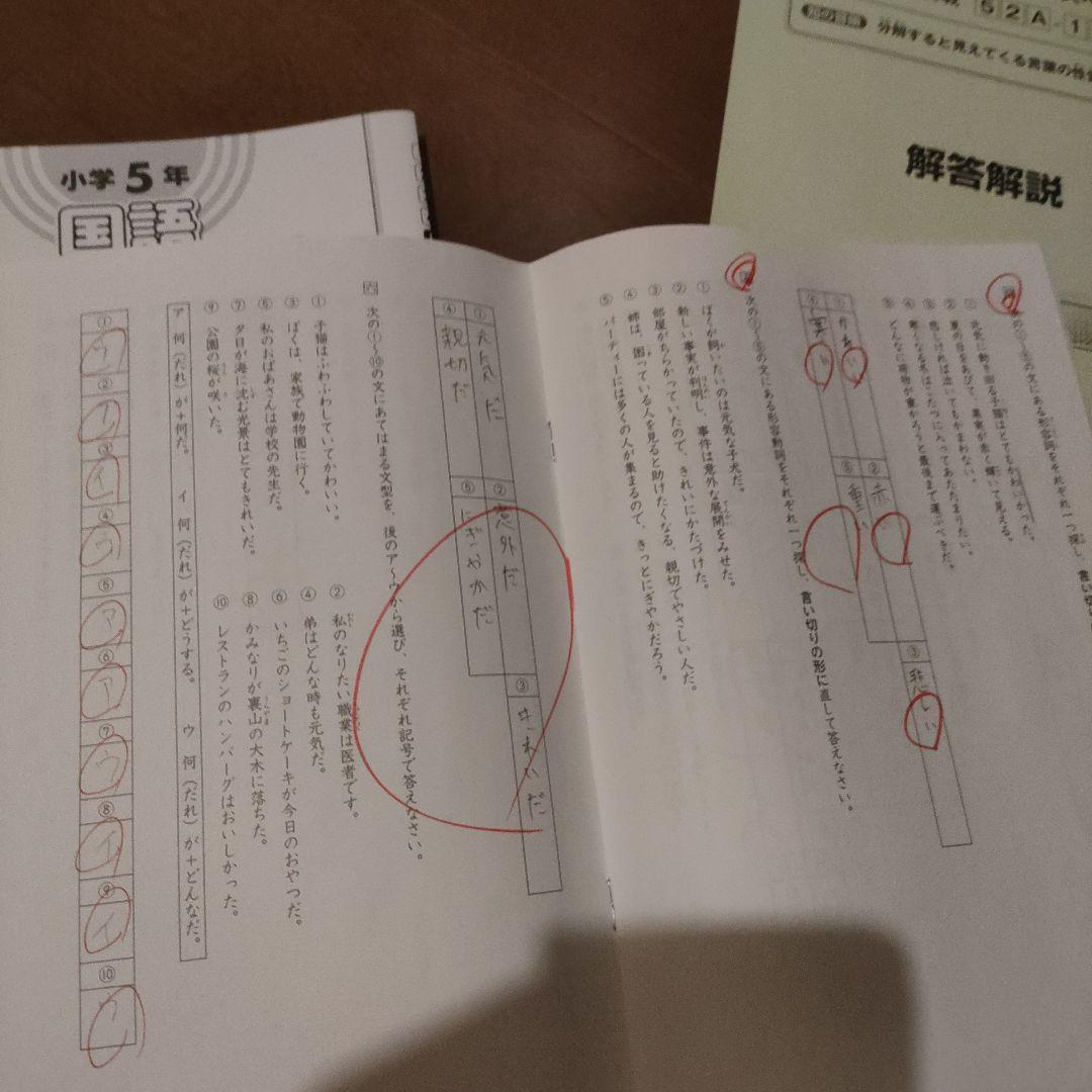 SAPIX 小学5年 国語 デイリー&春期＆夏期＆冬期セット 2022年度版