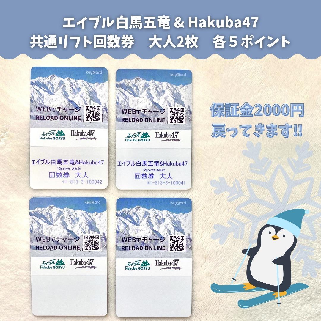 白馬 五竜 エイブル 47 リフト 回数券 共通 大人 2枚 スキー スノボ