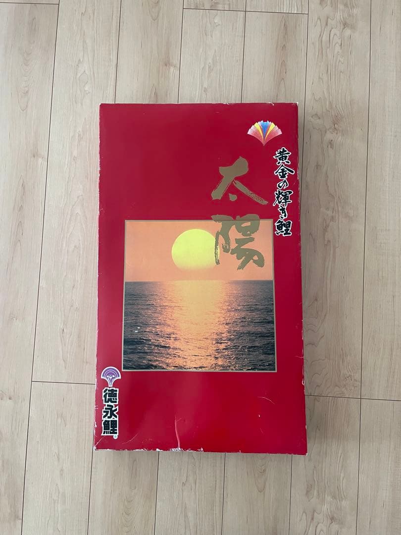 徳永鯉 黄金の輝き鯉 太陽 1.2m ベランダ用