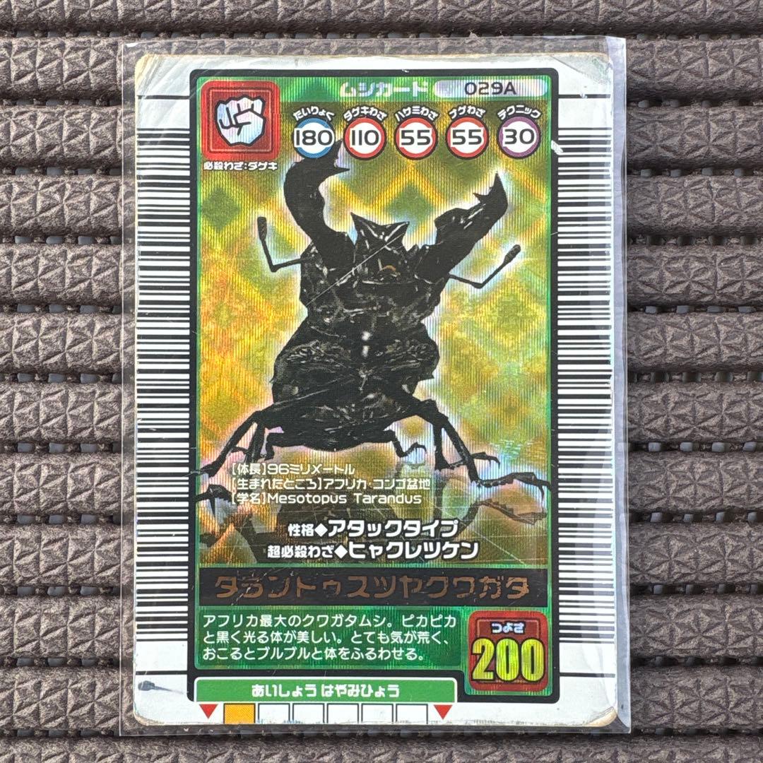希少 タランドゥスツヤクワガタ 2003AUTUMN 秋 初期 金 ムシキング