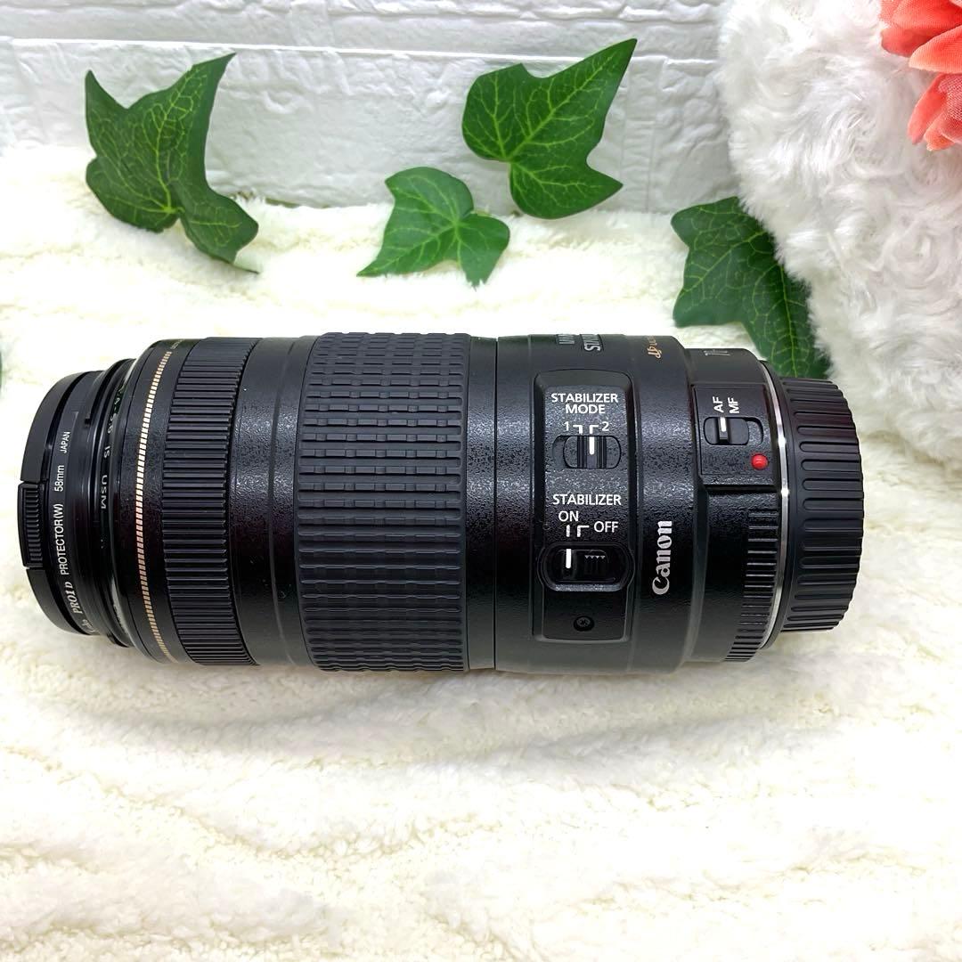 【美品】Canon EF 70-300mm f/4-5.6 IS USMレンズ