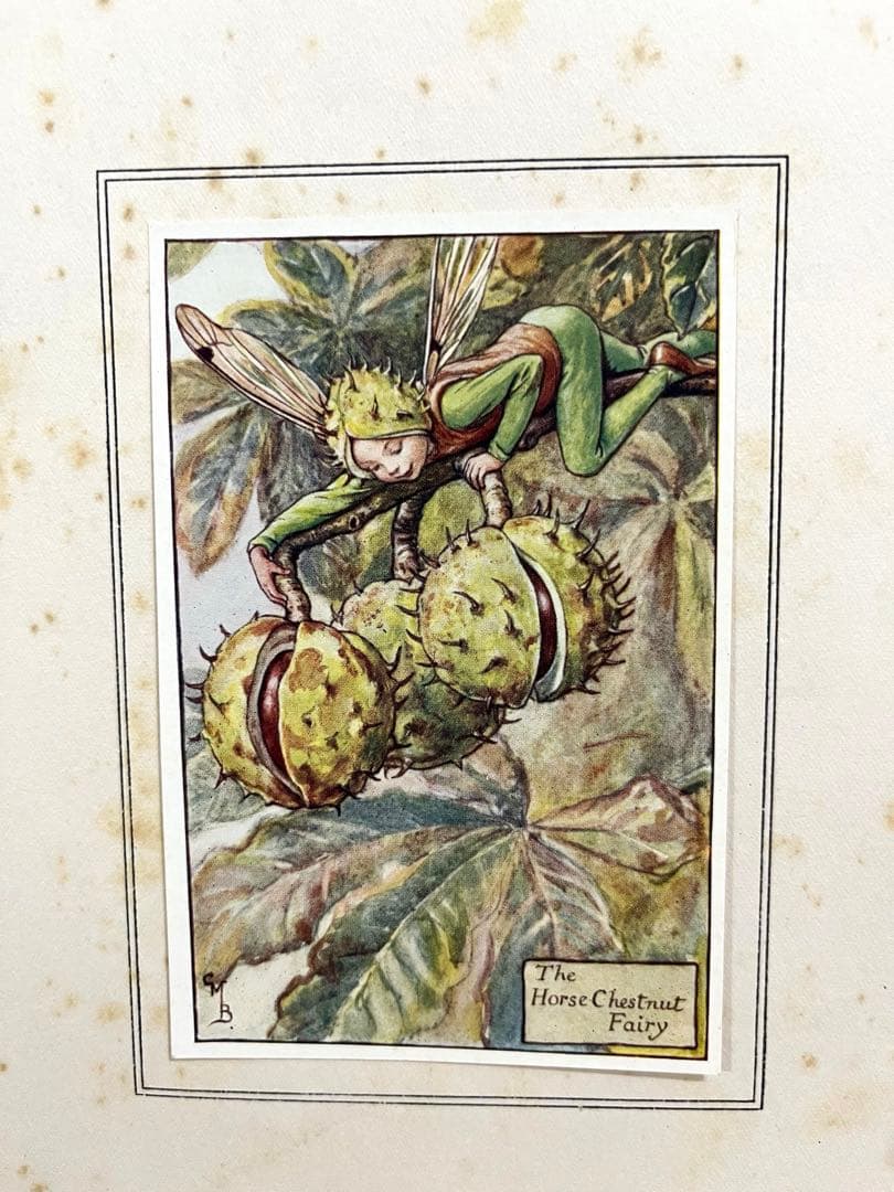 No359 希少 古書 洋書 楽譜 絵本 花の妖精 フラワー フェアリーズ