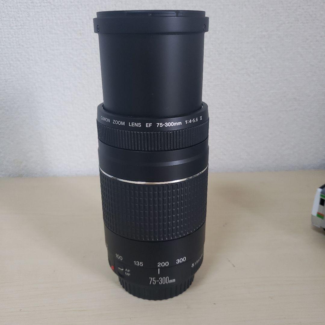 Canon EF 75-300mm F/4-5.6 III 望遠レンズ