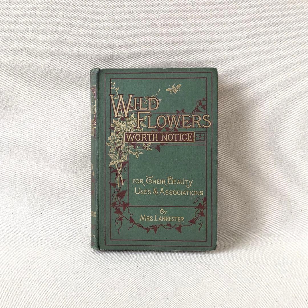 1896年！超希少 イギリスのアンティーク植物図鑑 - メルカリ