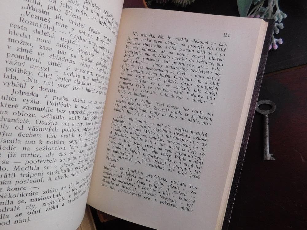 3冊セット.:*゜背表紙が素敵なドイツとチェコの古書 20世紀初頭 まとめ