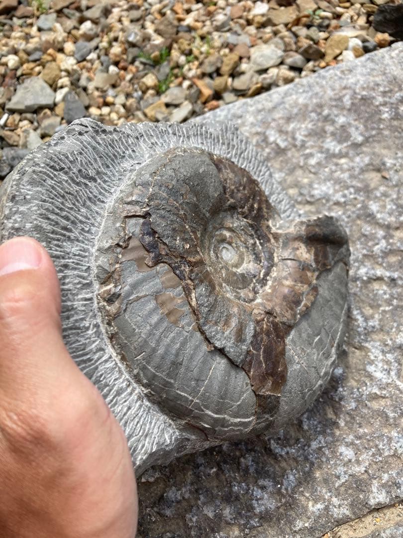 油絵壁掛け曼荼羅画家小楠アキコ作品サイズ40×40cm三枚1セット