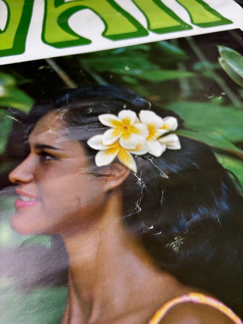 HAWAII ヴィンテージポスター - WWW.PDQ-PRO.COM