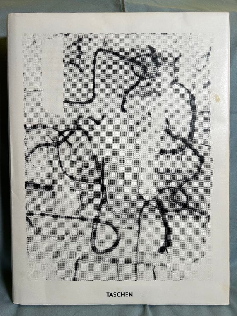 クリストファー・ウール　画集　洋書　大型本 Amazon.co.jp: ア クリストファーウール 洋書作品集 Christopher Wool