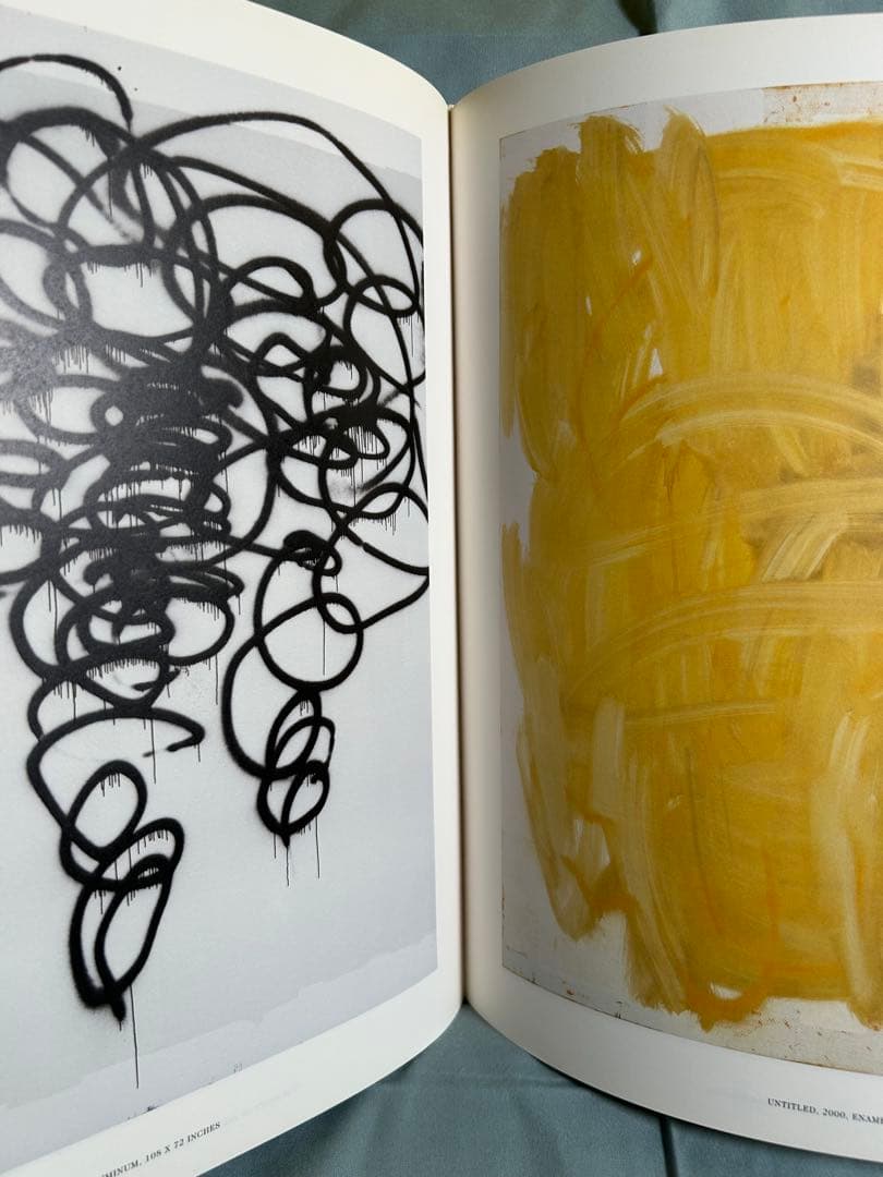 クリストファー・ウール 画集 洋書 大型本