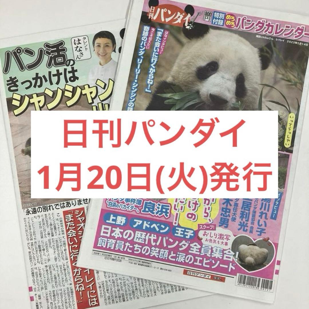 パンダだらけの新聞【日刊パンダイ】 - メルカリ