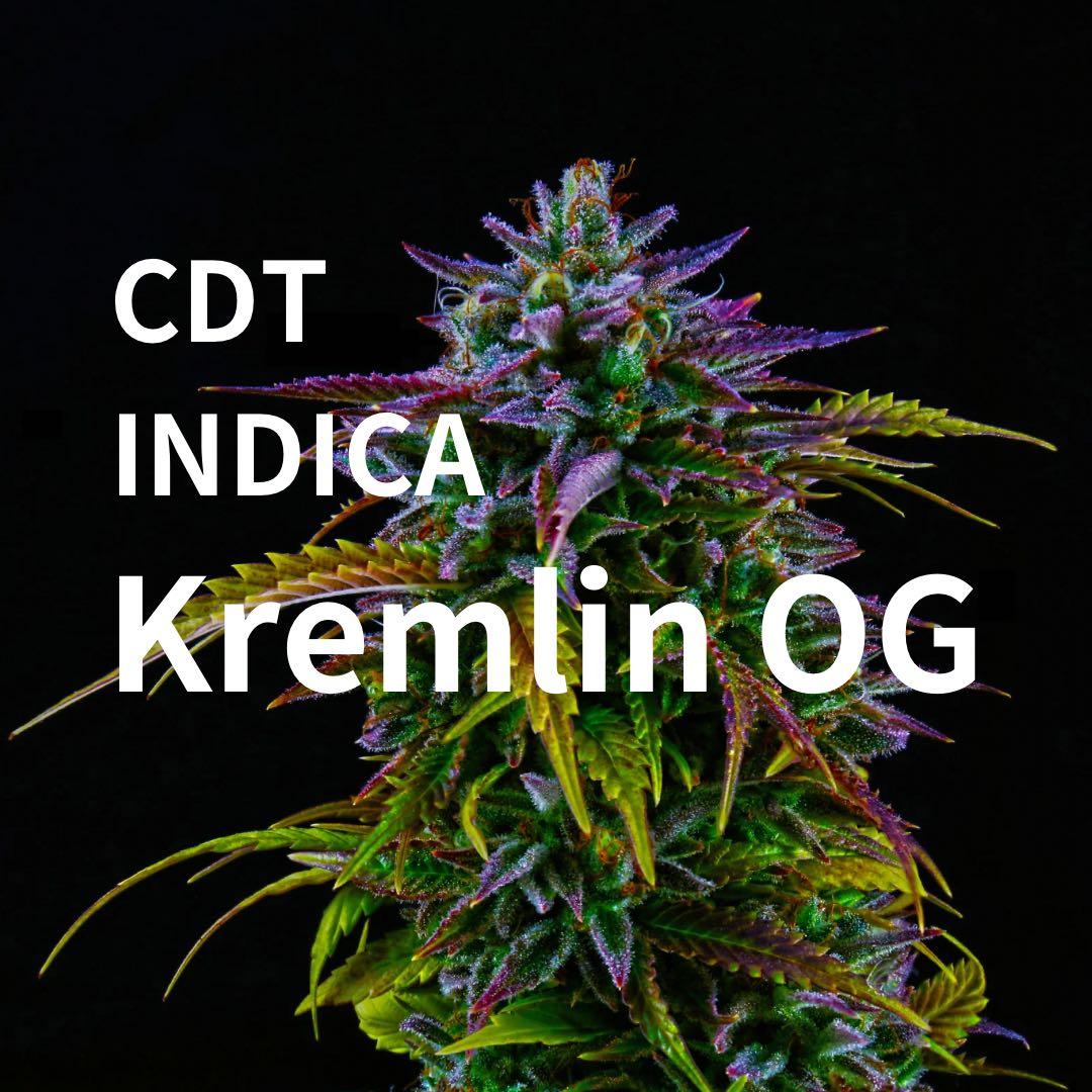 CDT(テルペン) インディカ KREMLIN OG 2ml - メルカリ
