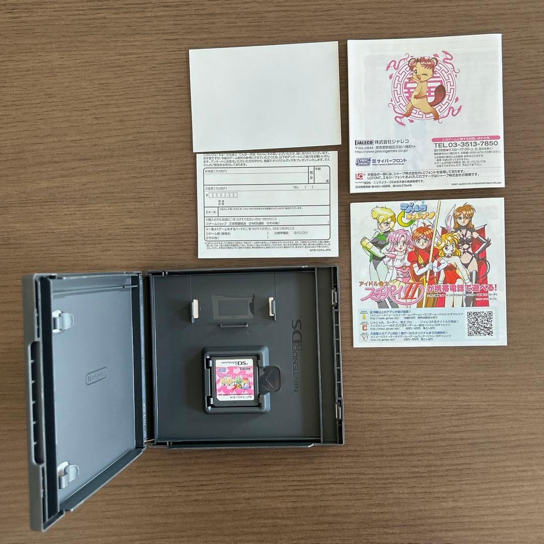 ちゅ〜かな雀士 てんほー牌娘 Remix ニンテンドーDS 箱説明書等有 特典付