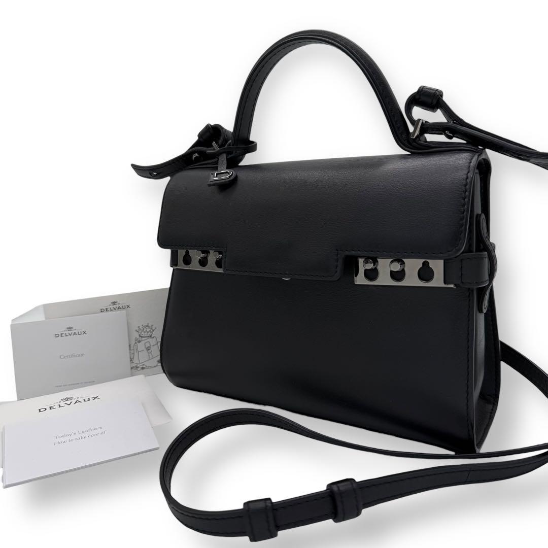 極美品□デルヴォー タンペートPM ショルダーバッグ 2WAY ハンドバッグ