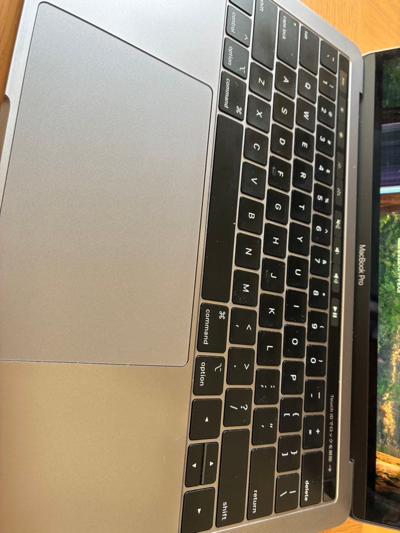 ジャンク】MacBook Pro シルバー 本体と充電器 - メルカリ