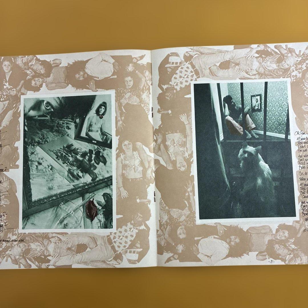 ベルリン/ルー・リード 国内盤レコード 別解説・歌詞カード付き1974年