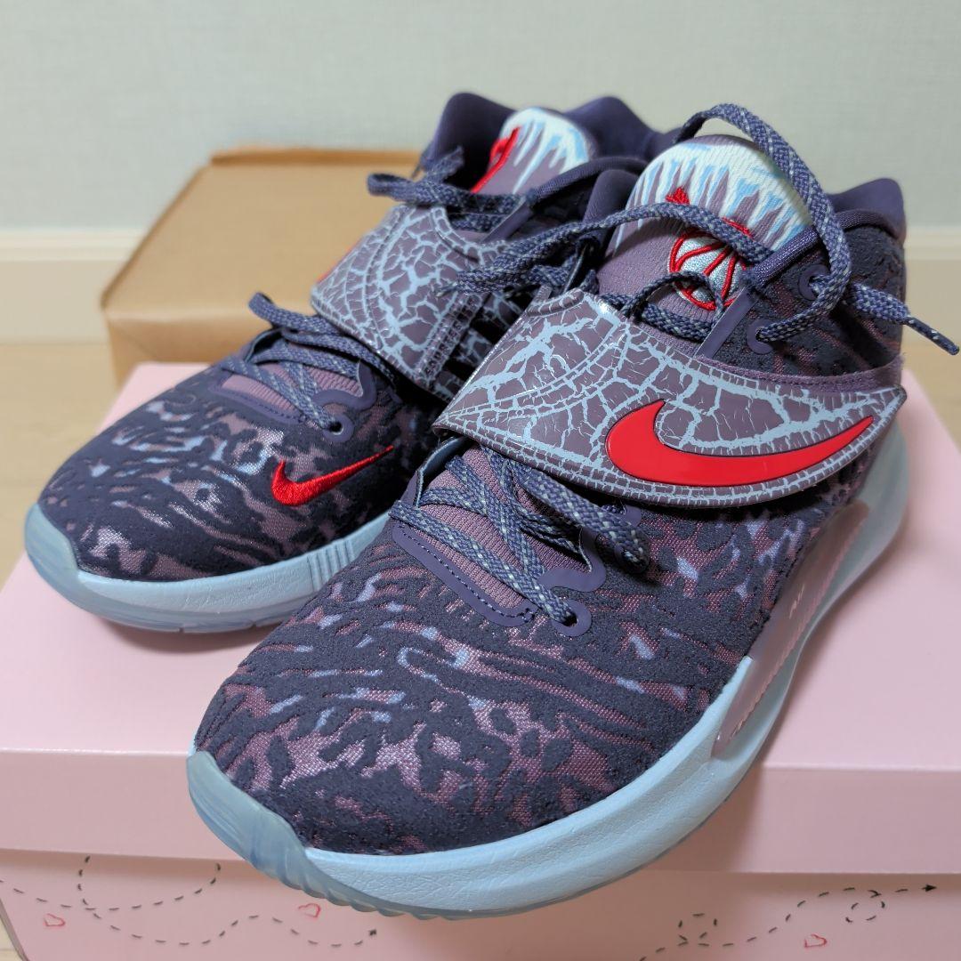 シューズ(男性用) NIKE KD14 NRG EP Nike KD 14 NRG 