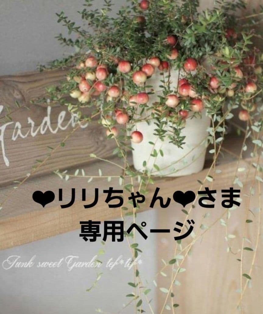 ❤︎リリちゃん❤︎ページ•*¨*•.¸♬︎ 寝たきりジジイのりぼんちゃん🎗🎀👑 (@ribonchan_vlive) / Posts / X