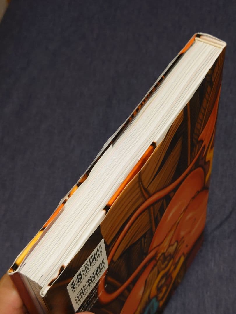 USED The Birth of Rockin JellyBean 画集