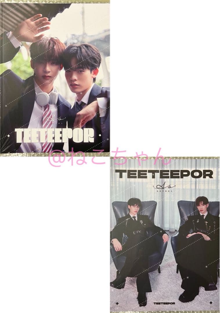 【ラスト】ASTRAL MAGAZINE TeeTee＆Por C版セット Zenless Zone Zero - Should I Be the Stars of Lyra Series Astra