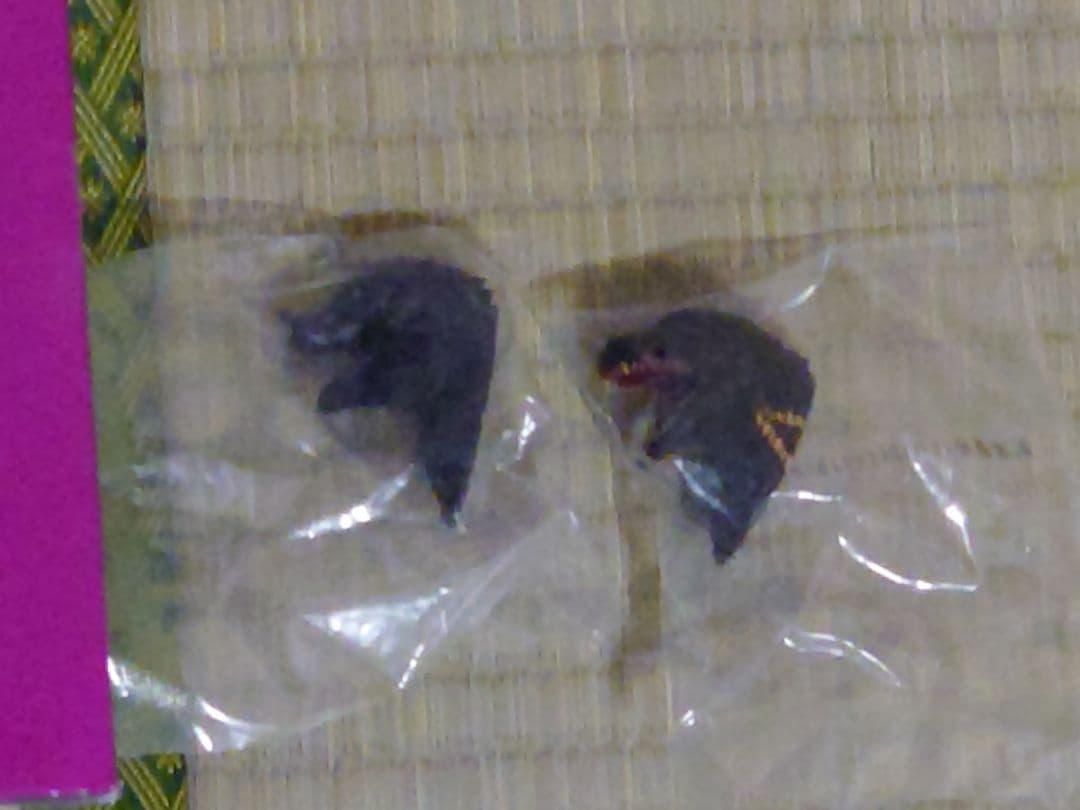 【一番くじ】ゴジラ 怪獣乱舞 -荒ぶるモノ- C賞 スペースゴジラ　おまけ付き