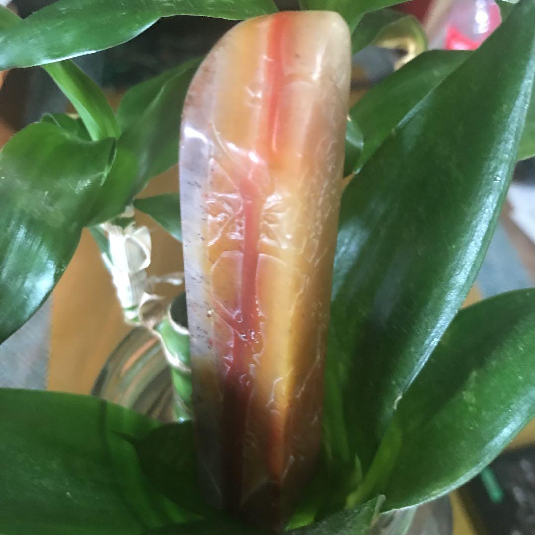 中国文房四宝　寿山石　印材 完全新品 名著『寿山石印材を極める』林清卿 なんでも鑑定団紹介 書道