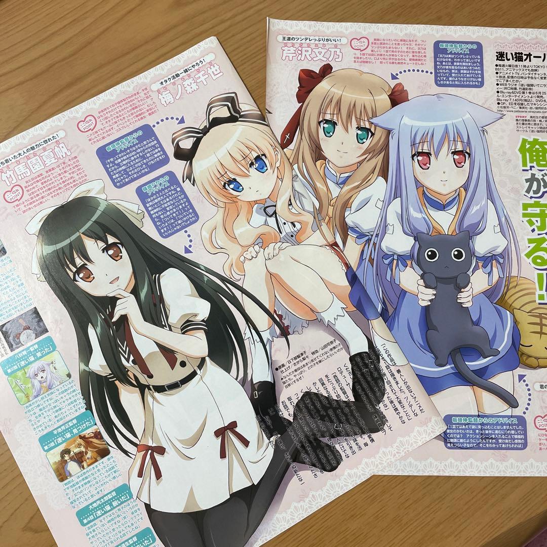 迷い猫オーバーラン 竹馬園夏帆 梅ノ森千世 芹沢文乃 霧谷希 アニメ